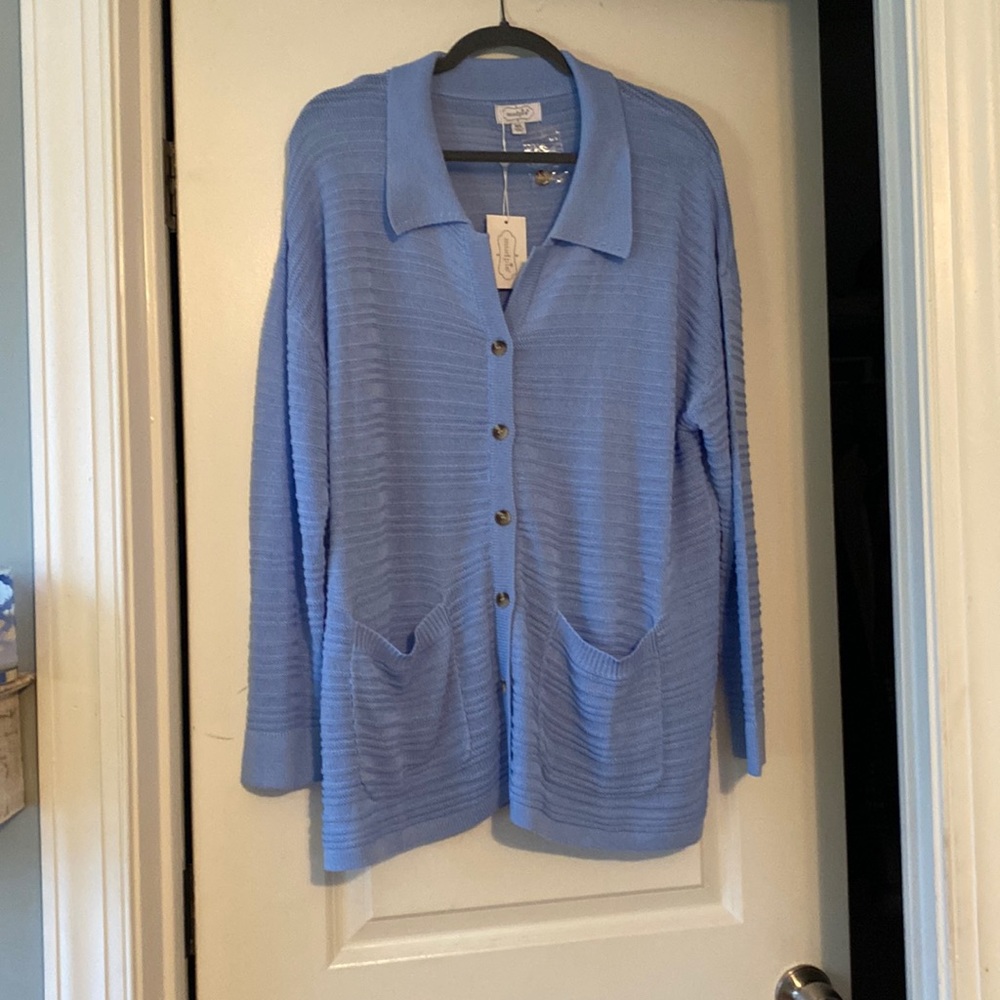 Blue Cardigan